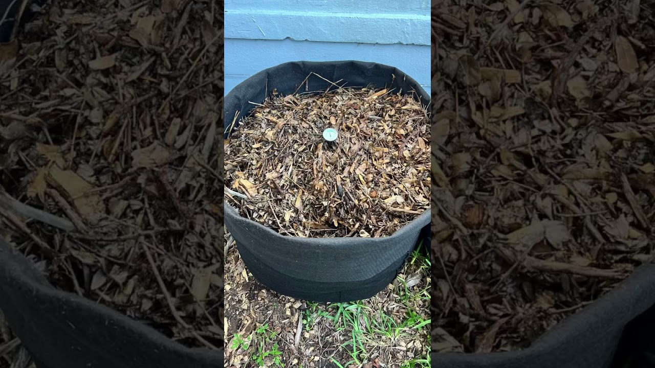 Turn kitchen scraps and fall leaves into fertilizer for your garden with the Smart Pot Compost Sak