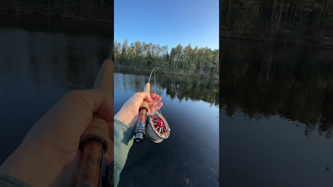 Videodagbok fra degernes. Ørretfiske!