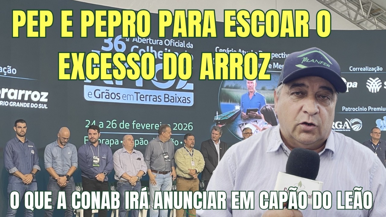 O que a Conab vai anunciar na 36ª Abertura da Colheita do Arroz