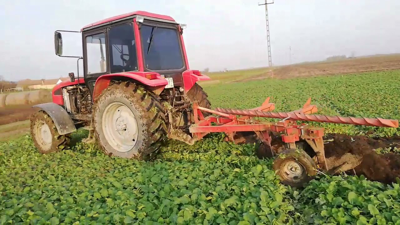 Belarusok bevetésen (MTZ 1025.3, MTZ 820) Szántás 2021