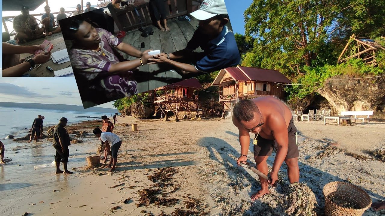 Vlog Akhir Bulan, Kerja Bakti Bersihkan Pantai, & Pembagian Gaji Dari YouTube, 