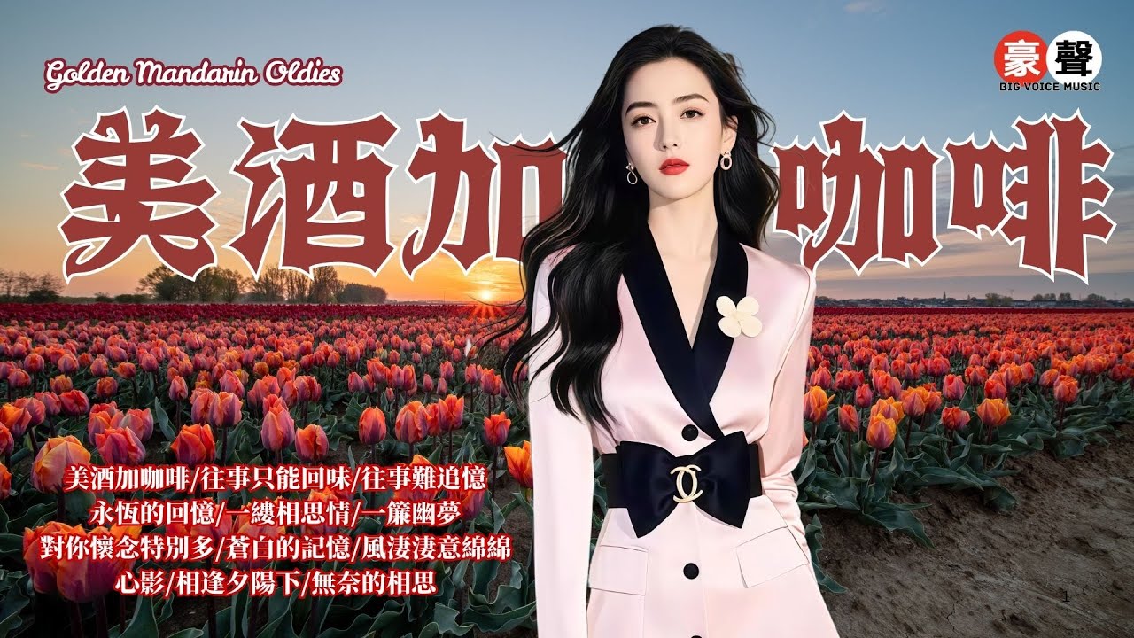 【國語老歌】美酒加咖啡丨往事只能回味丨往事難追憶丨永恆的回憶丨一縷相思情丨一簾幽夢丨對你懷念特別多丨蒼白的記憶丨風淒淒意綿綿丨心影丨相逢夕陽下丨無奈的相思 Mandarin Oldies (歌詞版)