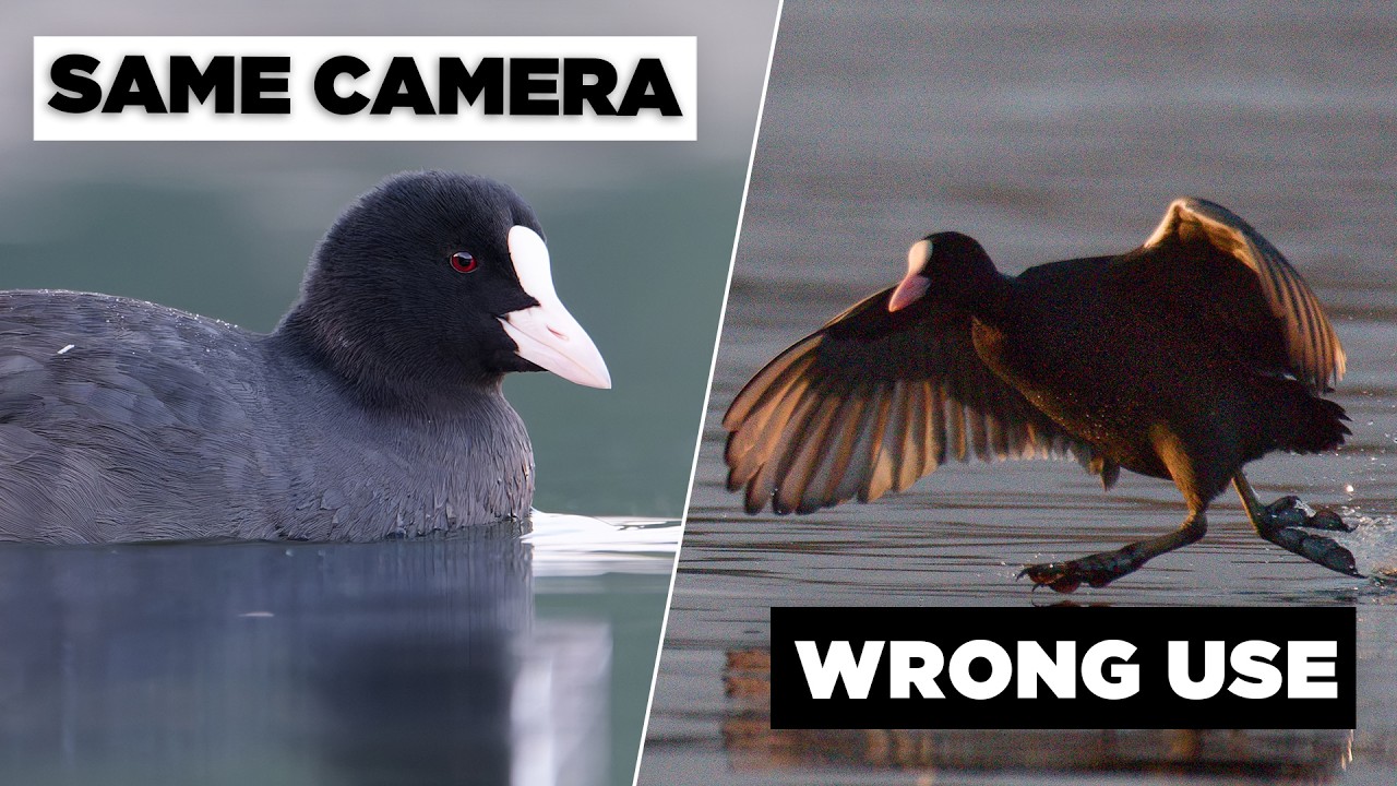 This Is KILLING Your Image Quality with Peter Dam