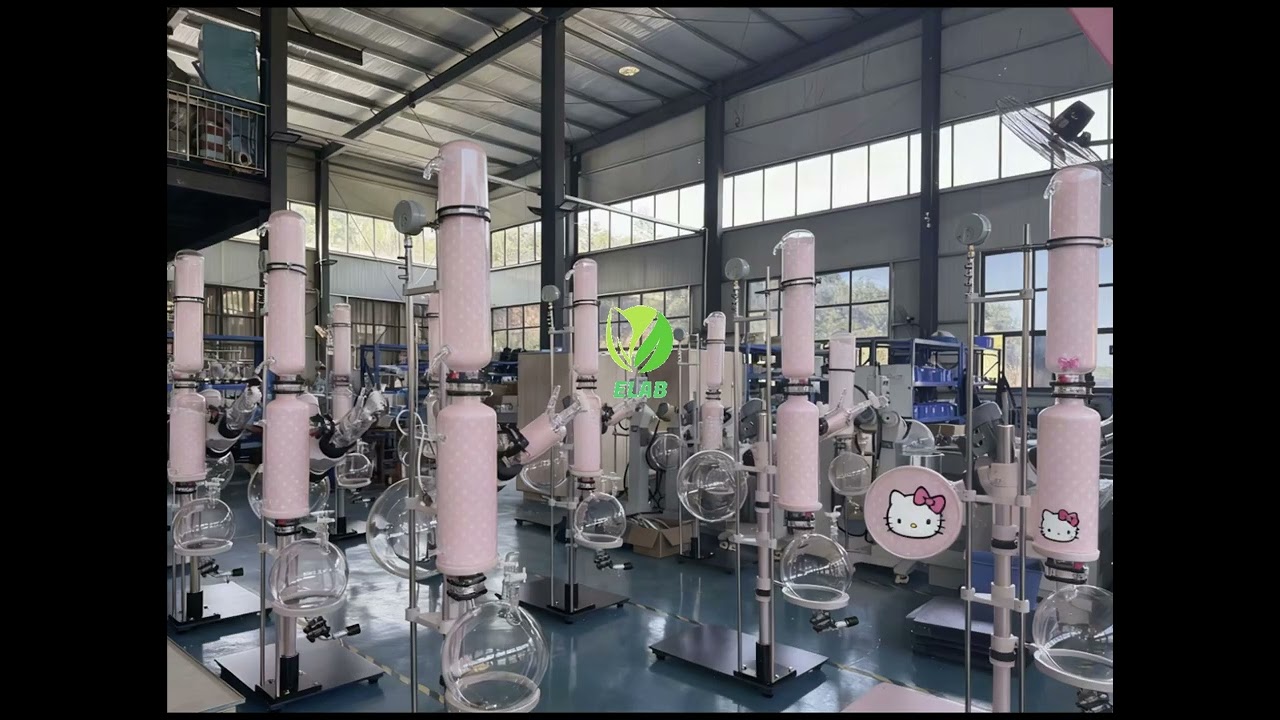 Customized Hello Kitty skins are available!  Custom-made orders are welcome.