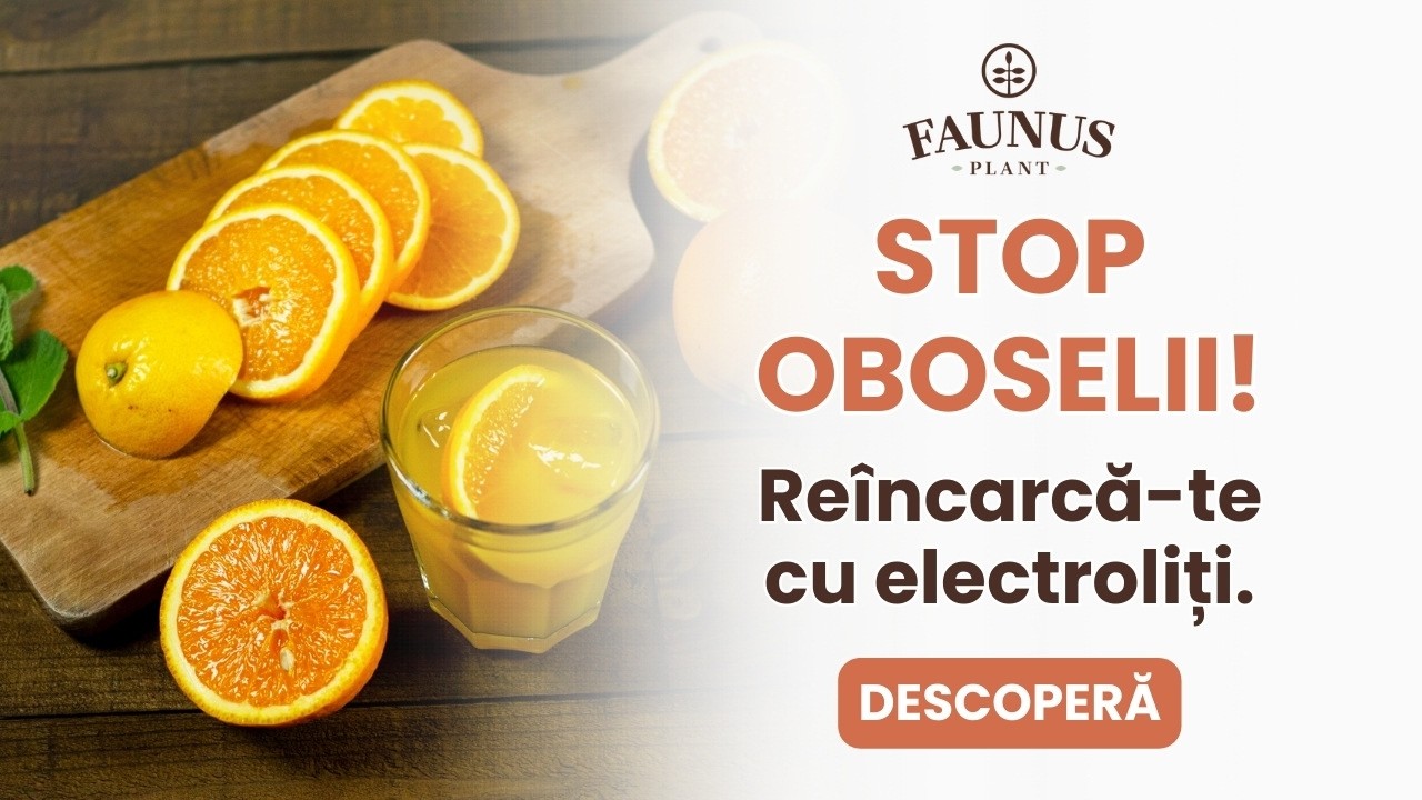 Ce sunt ELECTROLIȚII și de ce sunt esențiali pentru energie?