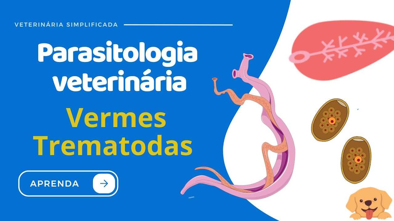 Vermes Trematodas | Parasitologia Veterinária |
