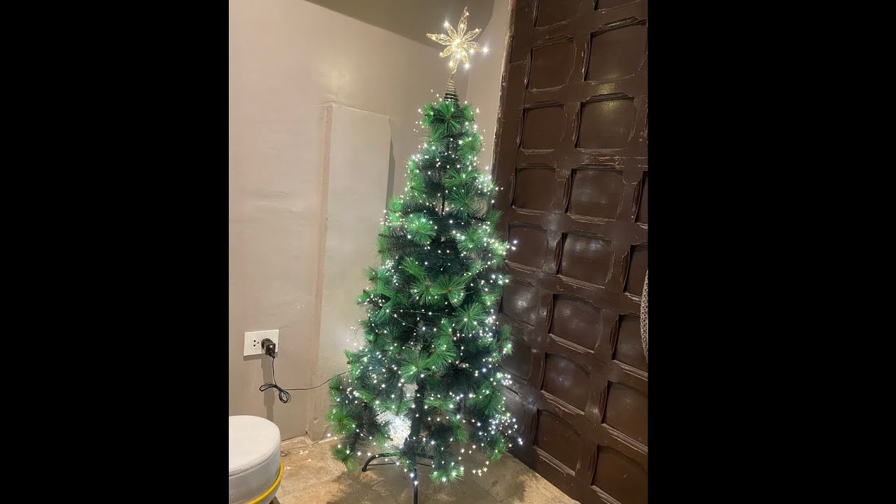 How long does it take to setup a Christmas tree | real time | fadaph