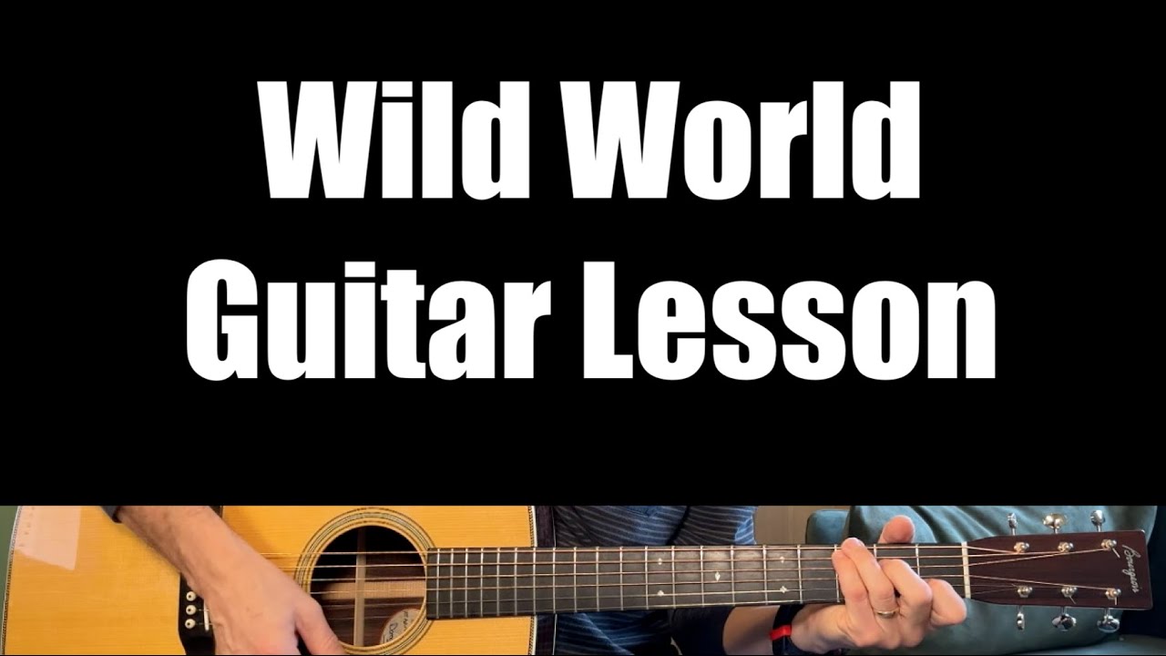Wild World - Guitar Lesson (Cat Stevens)