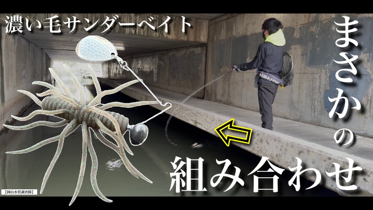【バス釣り】男性ホルモン全開‼︎ モジャモジャ濃い毛サンダーベイト！　トレーラー革命。スピナーベイトの新しい使い方。ハイドアップ　コイケサンダーエラストマー　シングルデカコロラド　マキシマムザホルモン