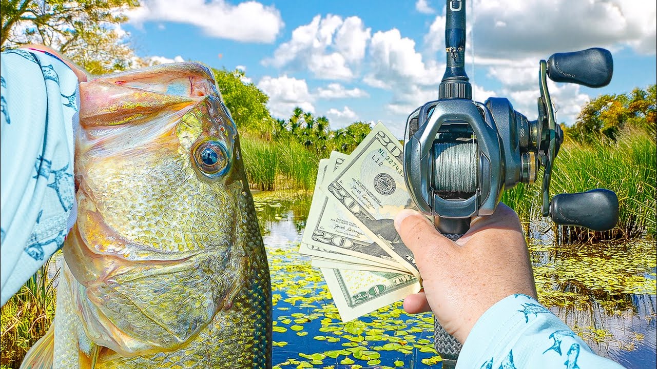 I Fished The BIGGEST Tournament Of The Year - Will We Win?