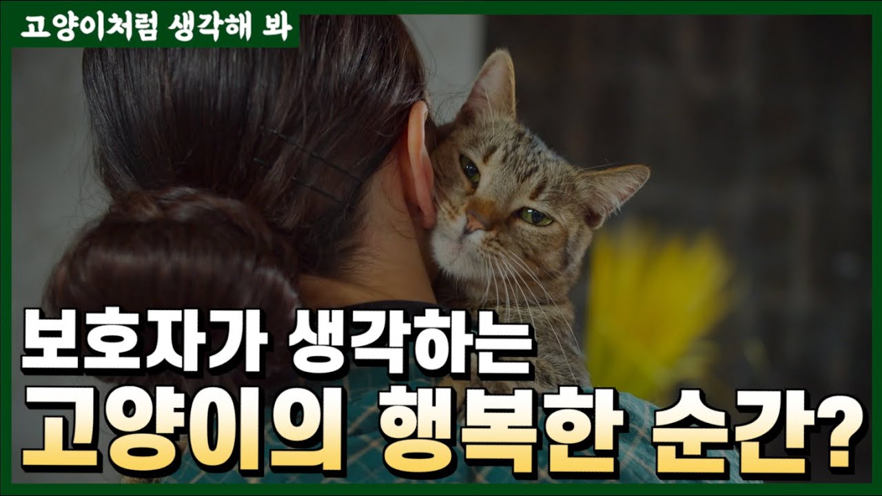 고양이가 느끼는 행복은 보호자와 다릅니다
