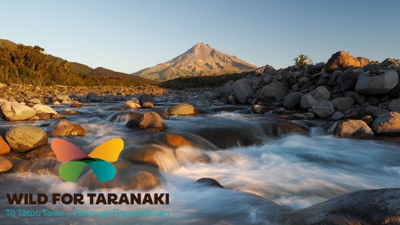 Wild for Taranaki - Invest in Taranaki’s Irreplaceable Biodiversity.