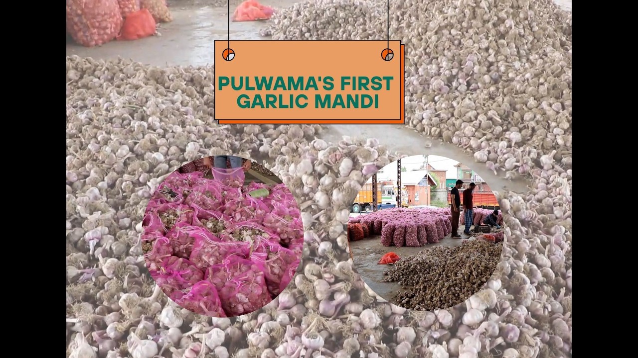 Pierwsze Mandi Czosnkowe w Pulwama