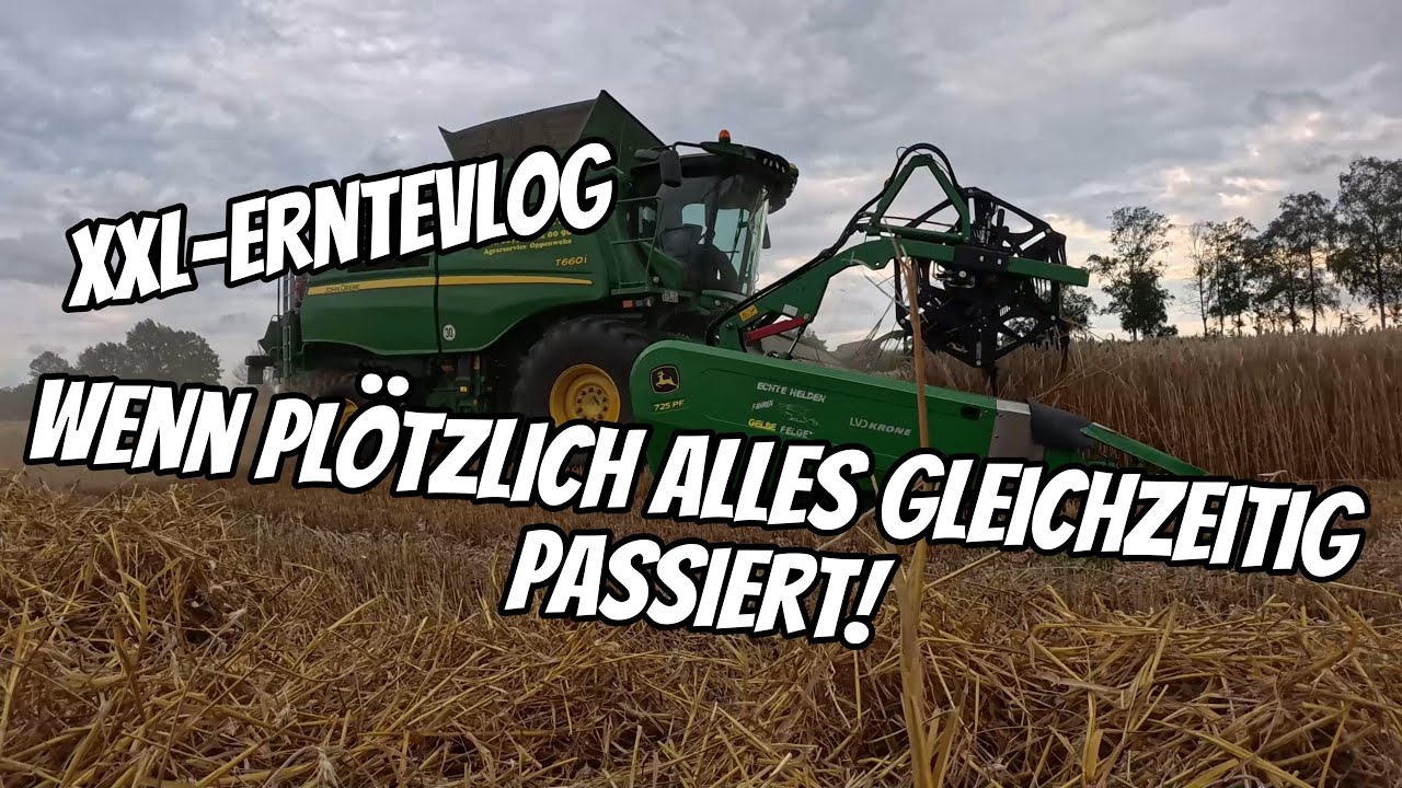 #vlog192 Mulde aufgetaucht + Startschuss Getreideernte 2025! Schaffen wir es vor dem Regen?