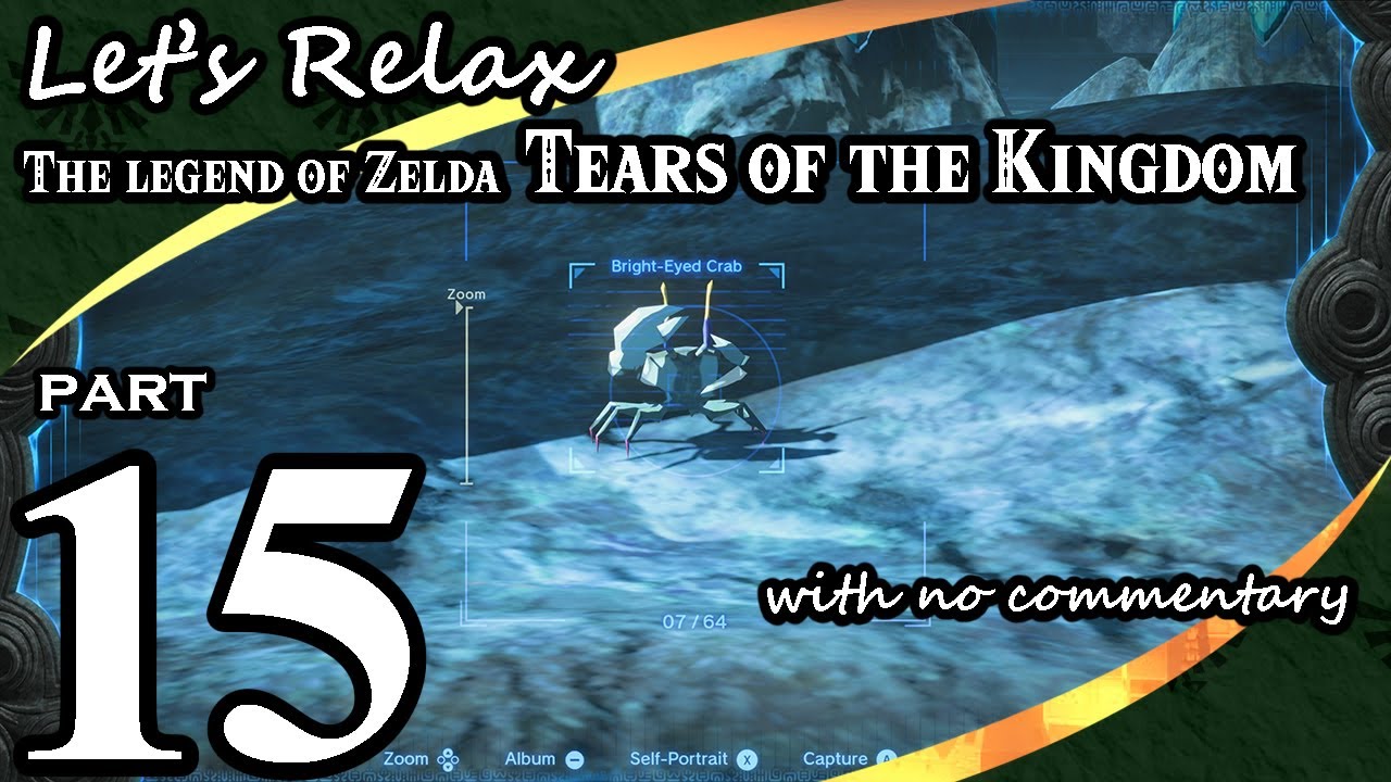 Let's Relax: Tears of the Kingdom with no commentary (Part 15)