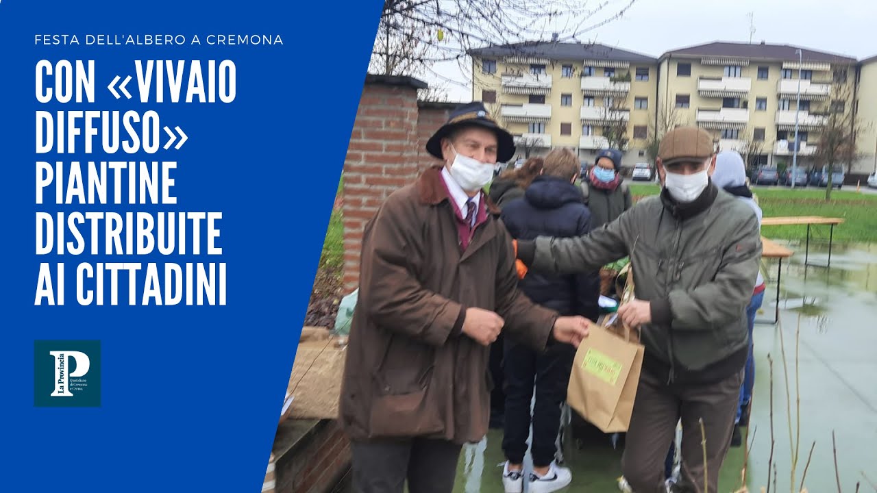 Festa dell'albero a Cremona: prenditi cura di una piatina