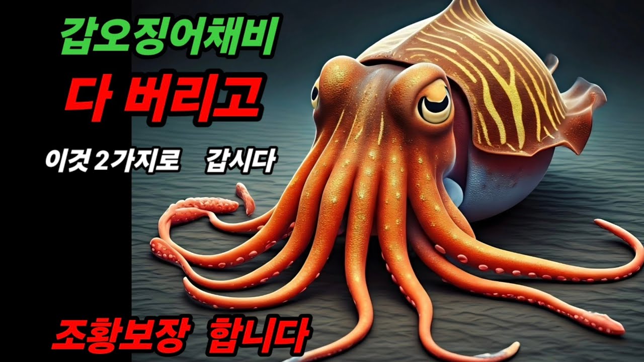 205회심해갑오징어채비 다버리고  이것 2가지로 갑시다♡채비운용방법♡