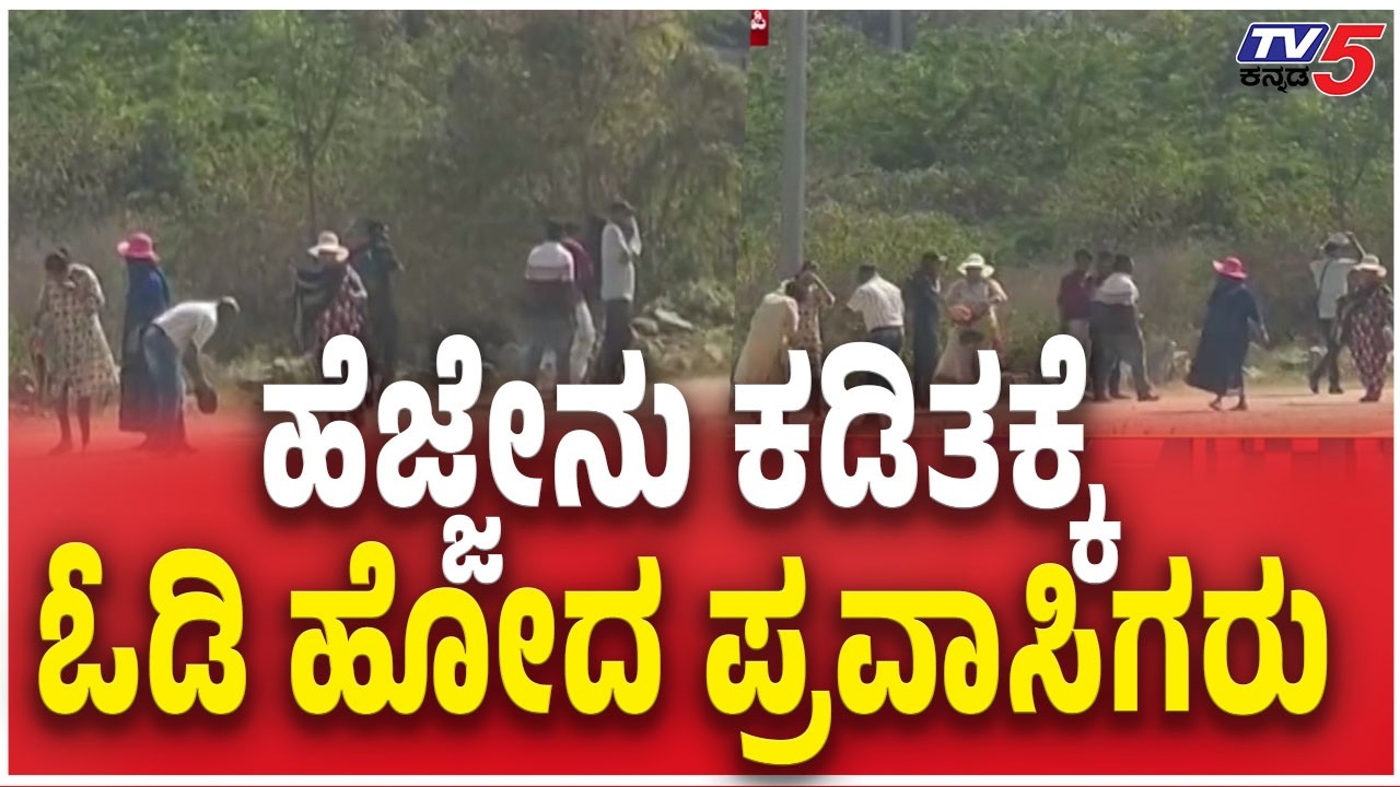 Bee Attack On Tourists In Hampi  | ಹೆಜ್ಜೇನು ಕಡಿತಕ್ಕೆ ಓಡಿ ಹೋದ ಪ್ರವಾಸಿಗರು | TV5 Kananda