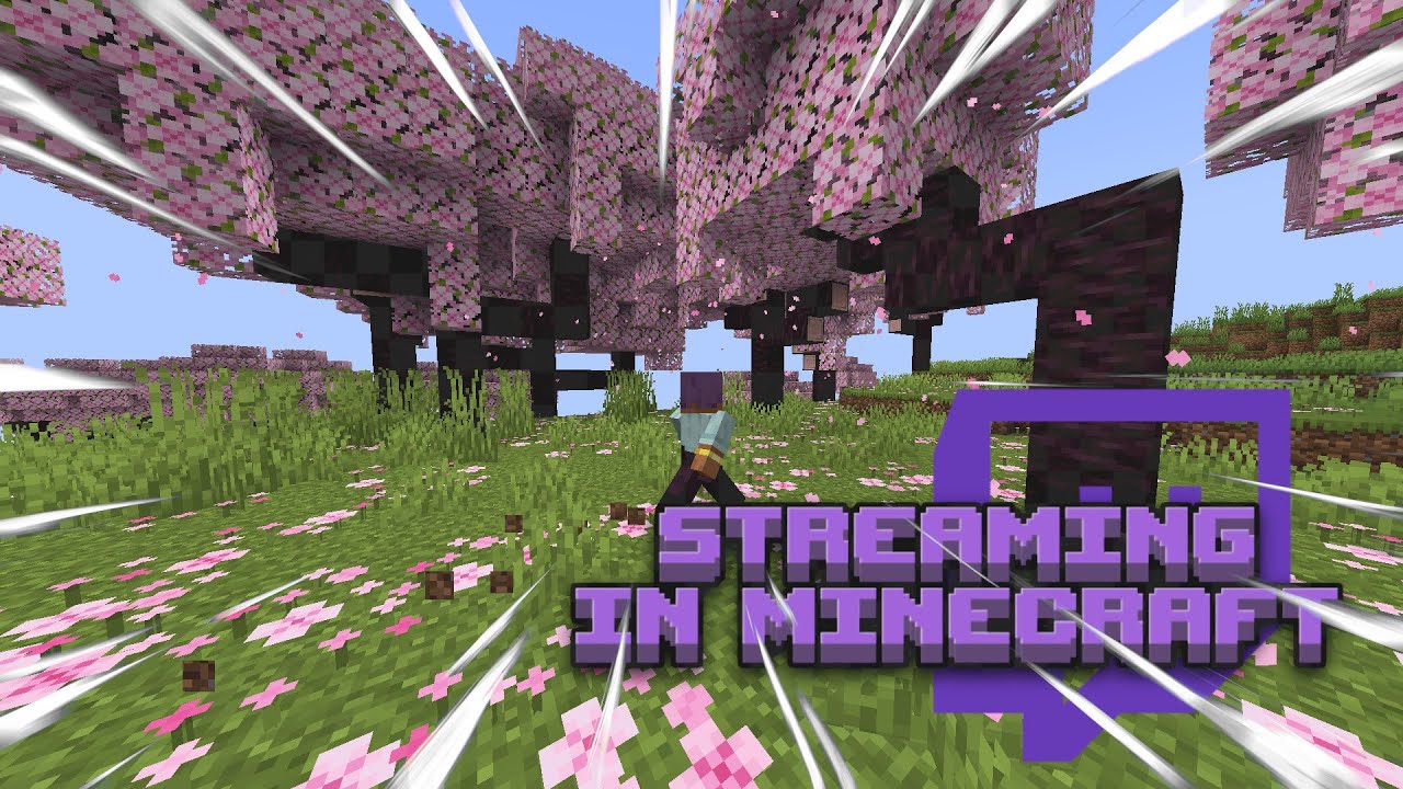 Becoming a STREAMER in Minecraft!