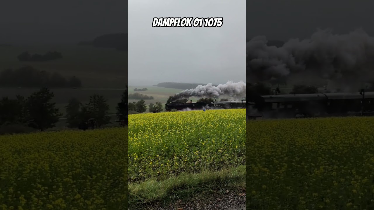 🚂 01 1075 kämpft sich die Schiefe Ebene hinauf – Dampfpower beim BR 01 Festival 2025!
