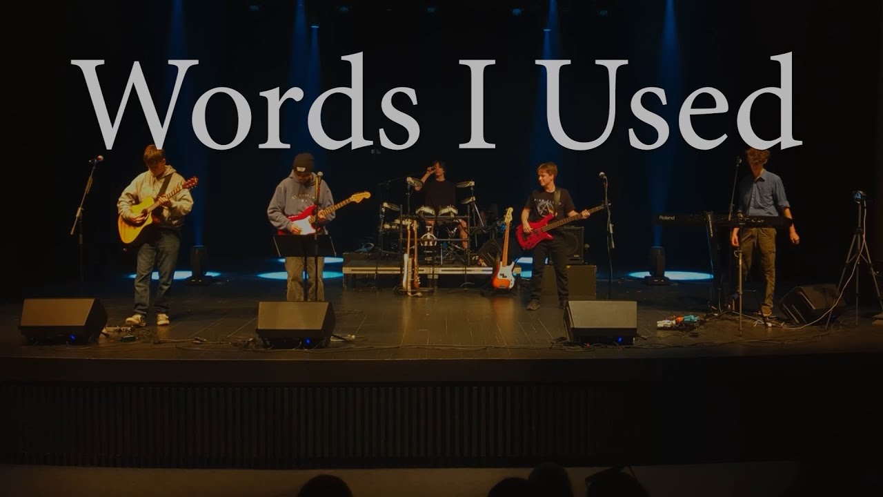 Words I Used Cover - BLISS (FULL SONG)
