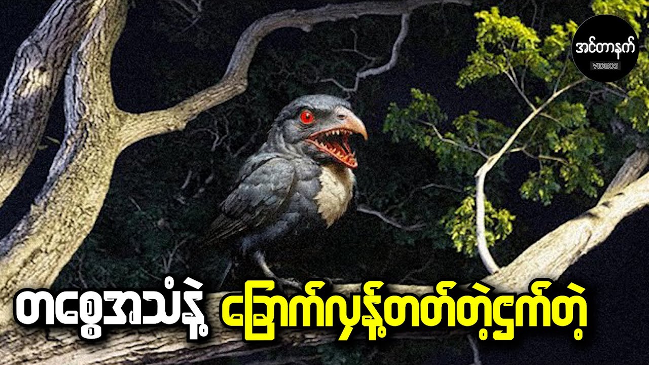 ကြောက်စရာအကောင်းဆုံး အသံတွေကိုပိုင်ဆိုင်ထားတဲ့ ဌက်မျိုးများ