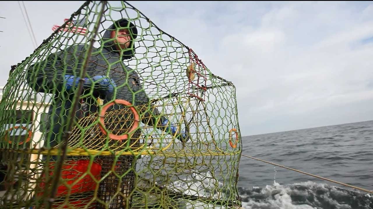 TERRA 912: The Most Endangered Species in the Bay: The Waterman