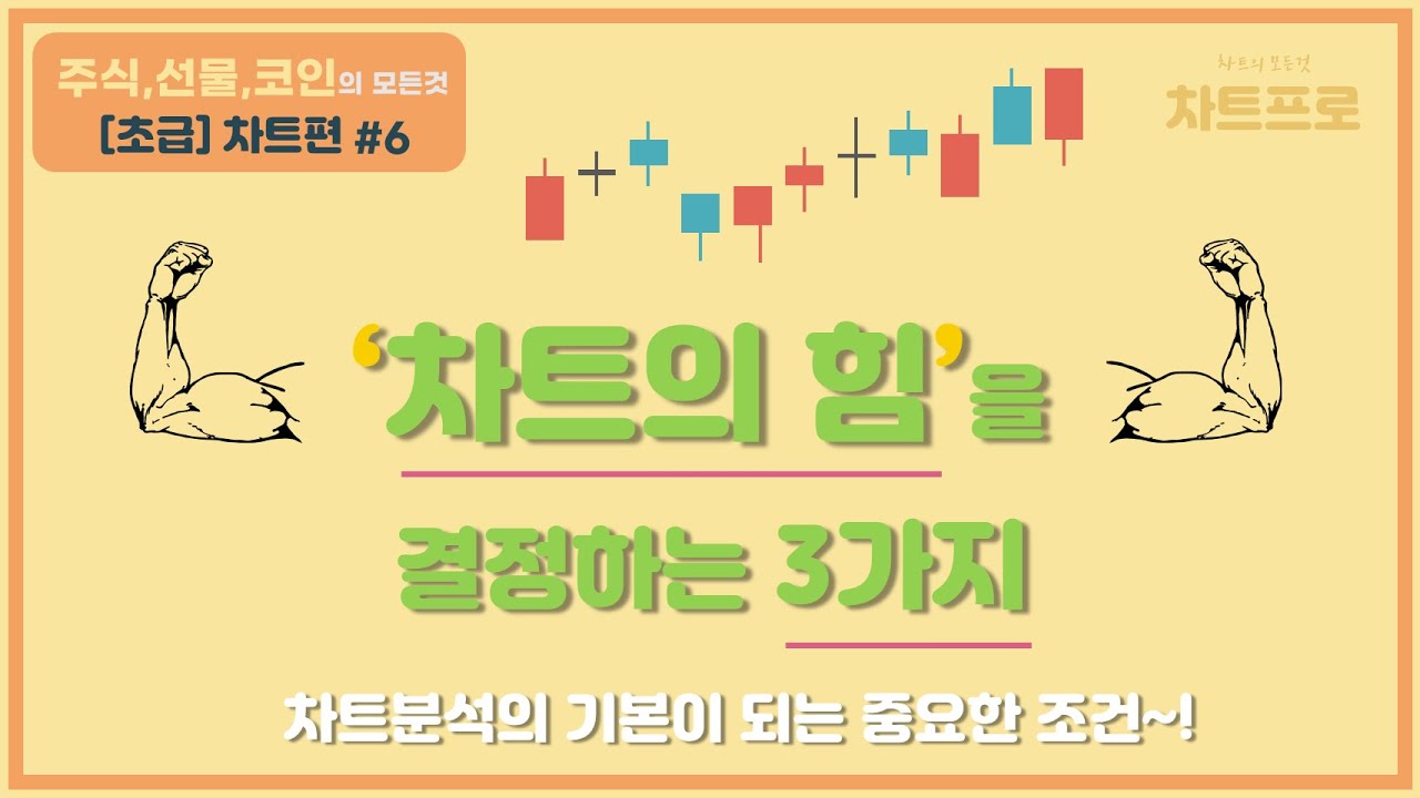 【초급-차트편#6】  차트의 비밀  