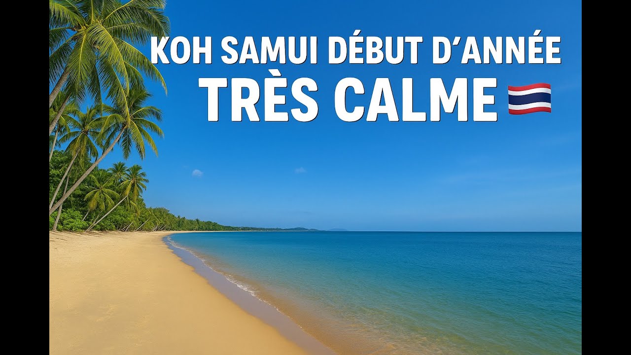 329 🇹🇭 Un debut d'année très calme à Koh Samui