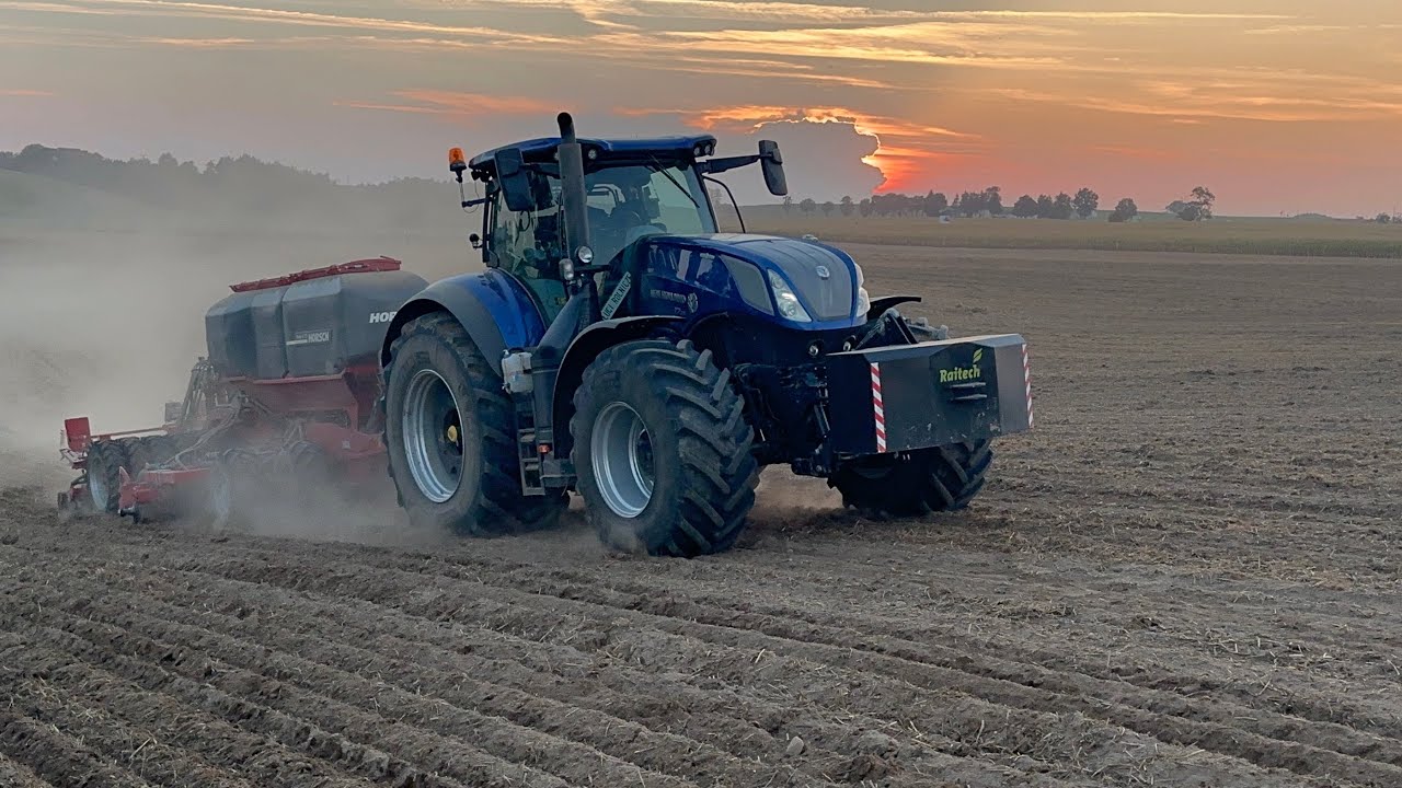 #799- Siewy rzepaku 2024! New Holland T7 315 + Horsch Focus 4 TD