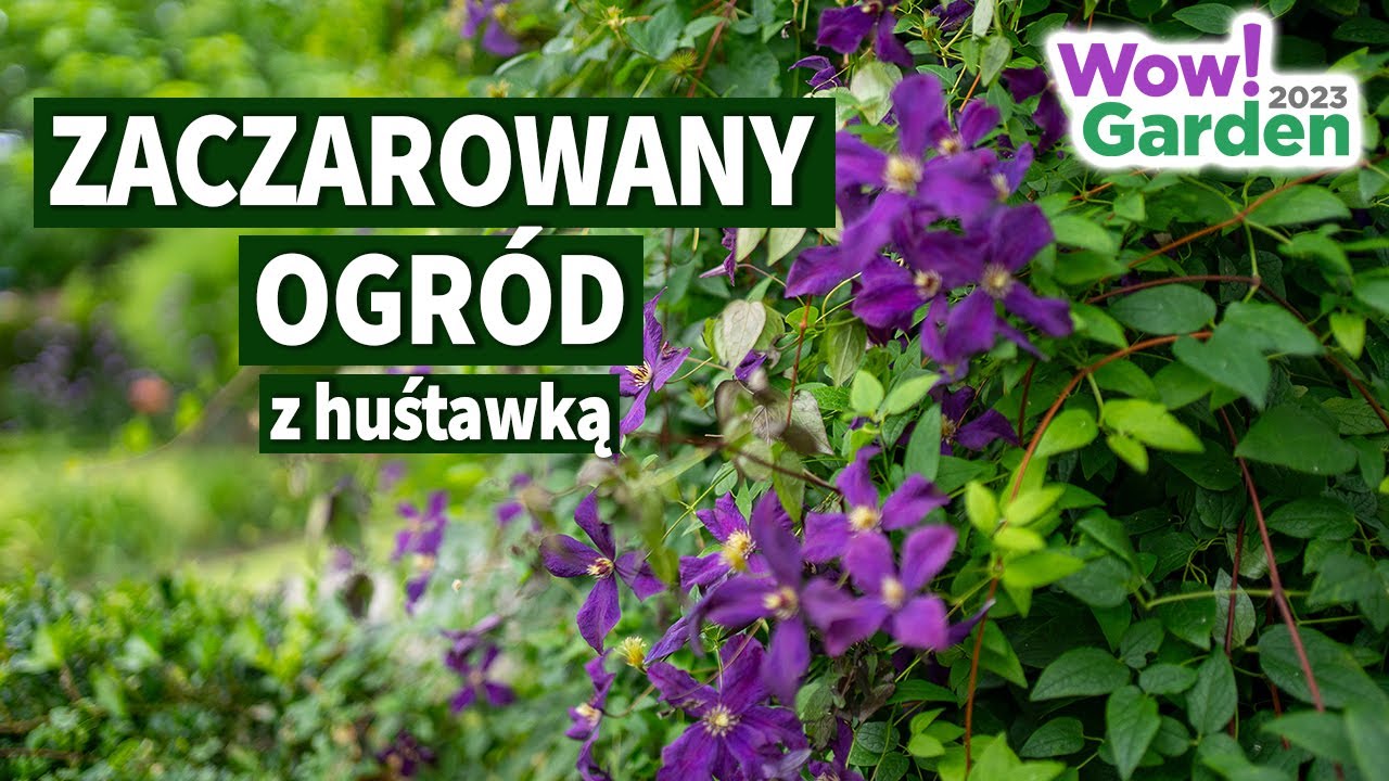 Piękne drzewa i byliny w jednym miejscu. Zaczarowany ogród na podkarpaciu