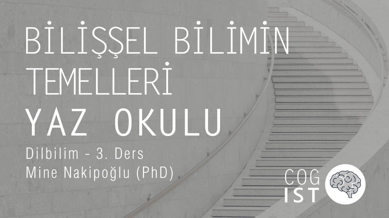 Bilişsel Bilimin Temelleri Yaz Okulu | Dilbilim #3 - Mine Nakipoğlu (PhD)