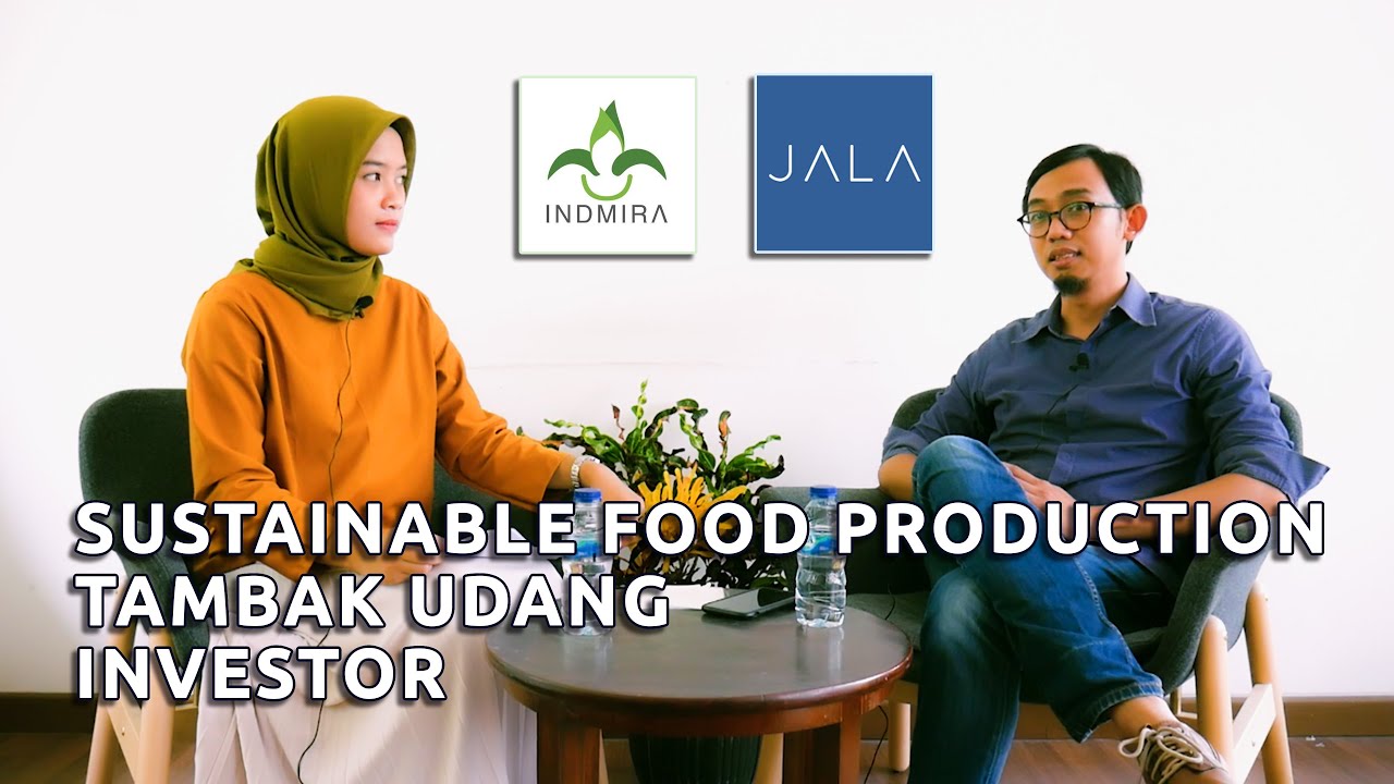 Bincang Santai Memulai Bisnis bersama Founder INDMIRA & Startup JALA Tech