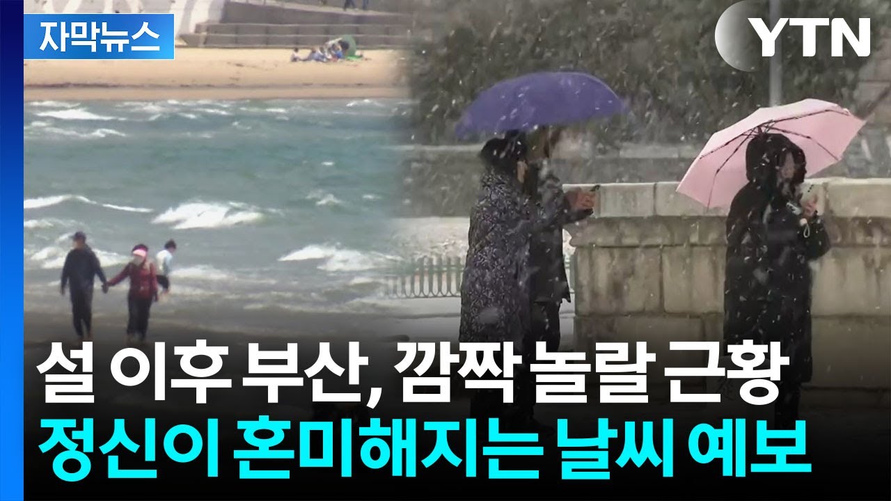 [자막뉴스] 4월 기온됐다 다음 주엔 갑자기...'롤러코스터' 날씨 전망 / YTN