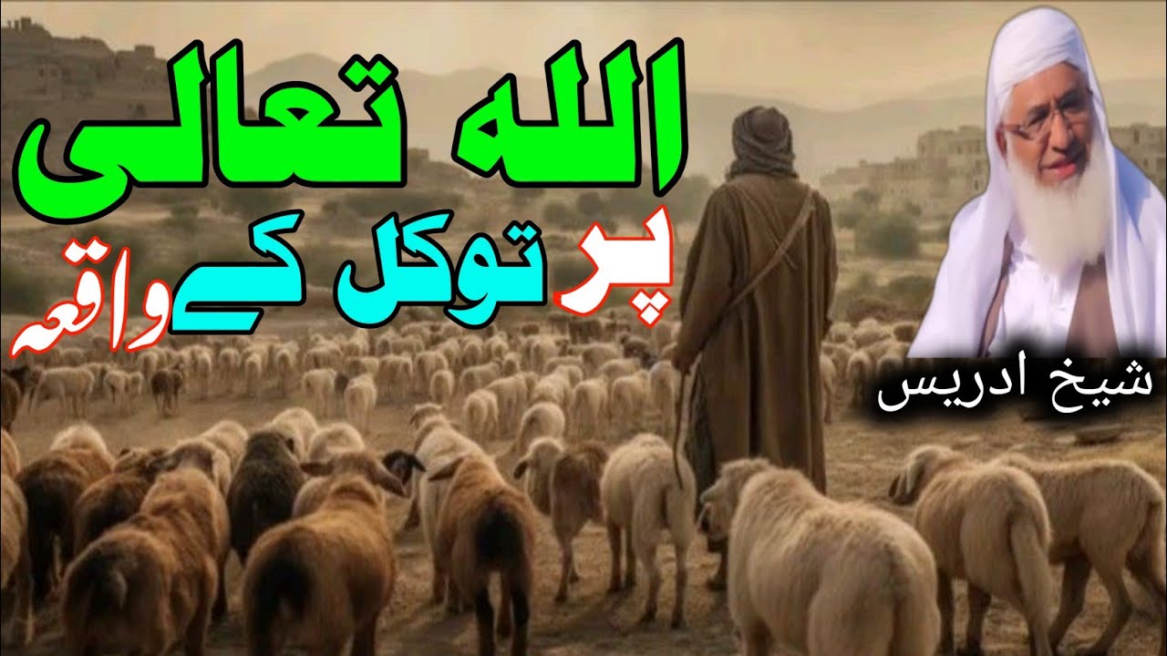 Pashto Bayan /Shikh Idris sib/اللہ تعالیٰ پر توکل کے عبرت ناکہ واقعہ 