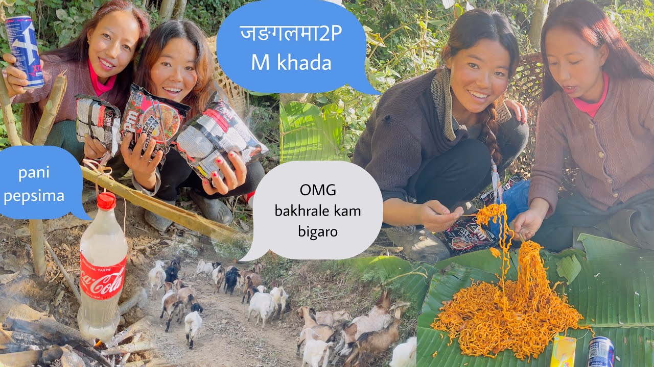 OMG जङलमा 2PM बनाएर खादा बख्राले सबै खाइदियो😭😂😭😂🐐🐐