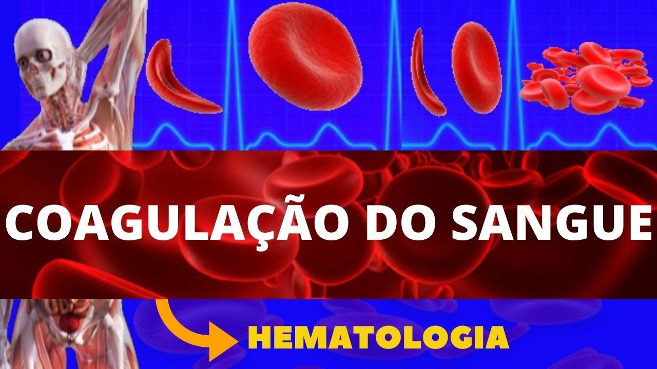 COAGULAÇÃO SANGUÍNEA (HEMOSTASIA PRIMÁRIA E SECUNDÁRIA) - ENSINO SUPERIOR - FISIOLOGIA SANGUÍNEA