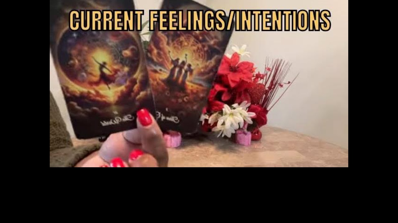 All Signs Tarot Love Their Current Feelings and Intentions