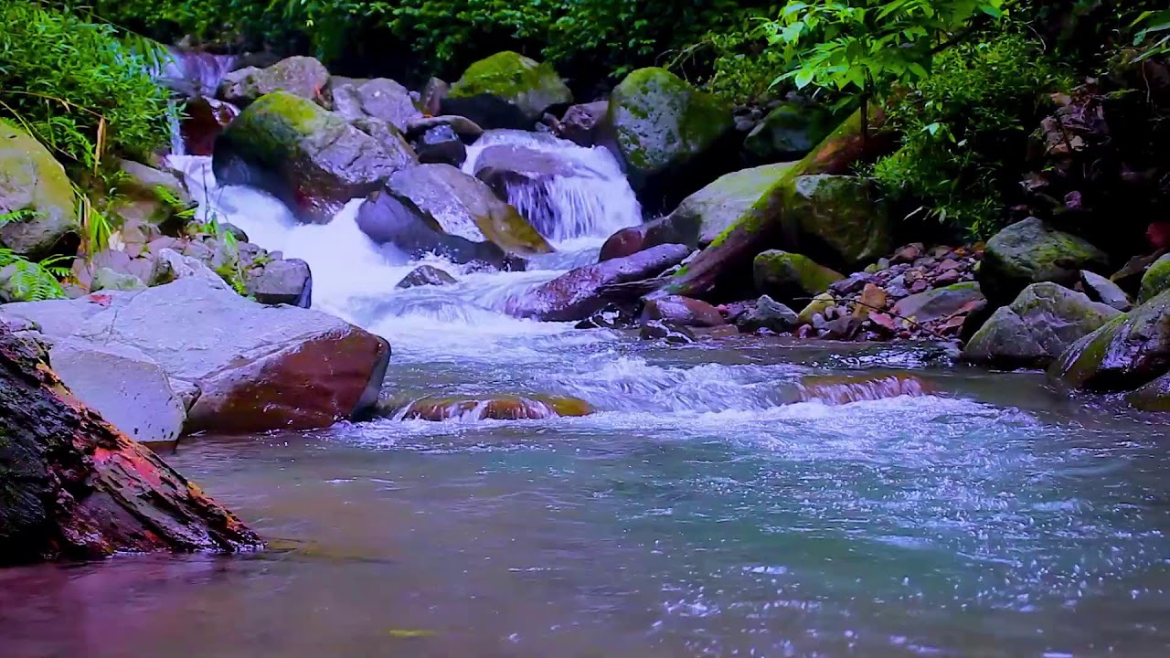 Mountain River Flow Sounds for Long Focus Sessions and Mental Clarity