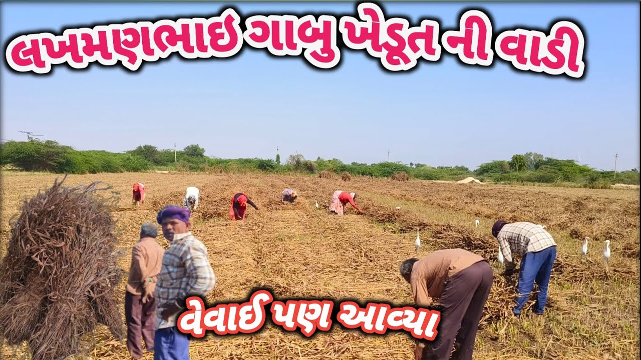 પુરા વારવા નુ કામ કેવું છે // pura varvanu nu kam// how to make ll લખમણભાઈ ખેડૂત ll 