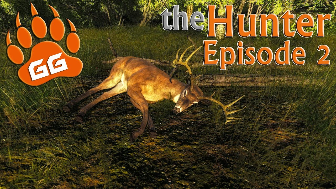theHunter: Episode 2 - Feeding the Bears