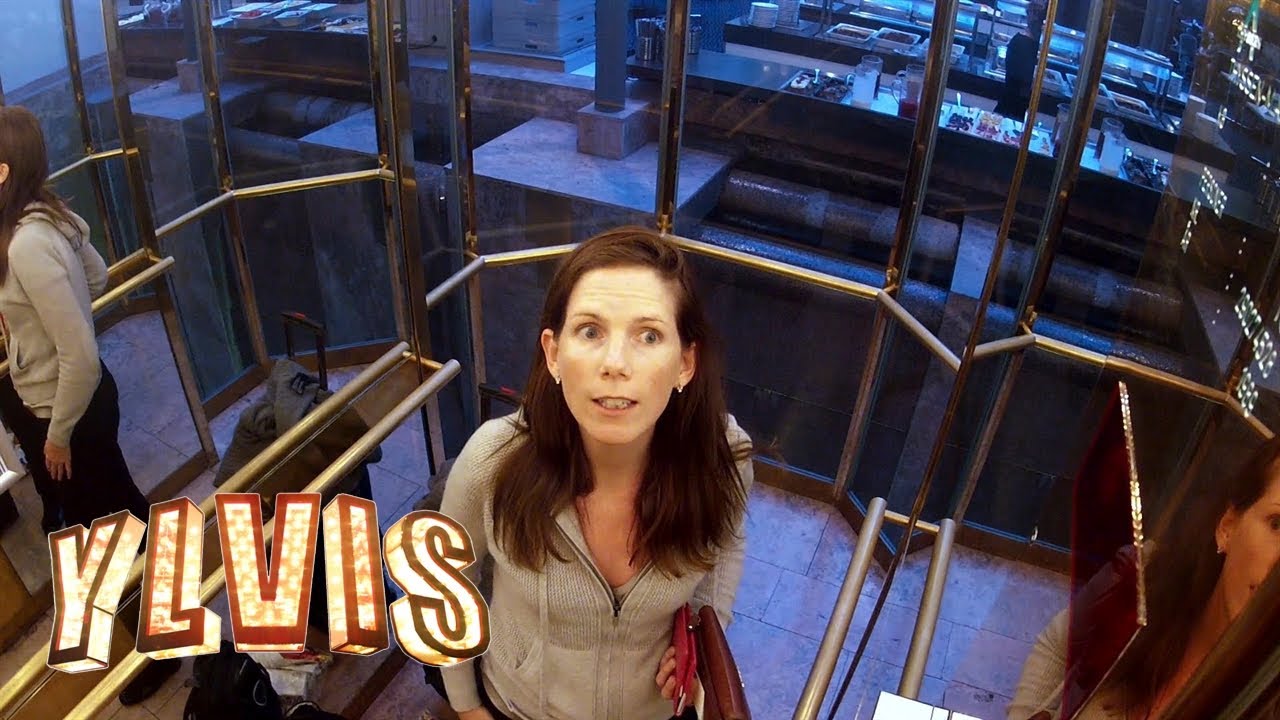 Ylvis | The Intelevator - Episode 2 (Quiz and Photoshoot) | discovery+ Norge
