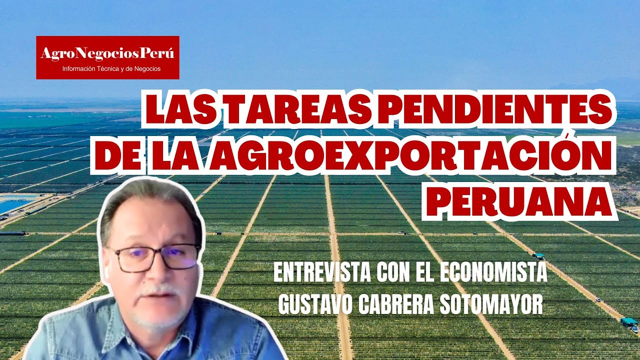 Economista advierte:  la agroexportación no debe caer en el mismo error de las mineras