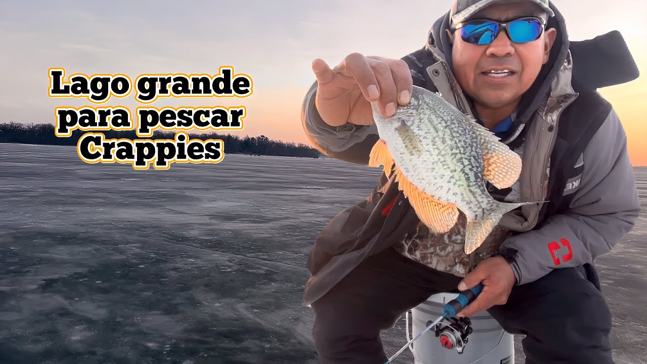 Persiguiendo crappies con Jig y WAx worms en invierno. 