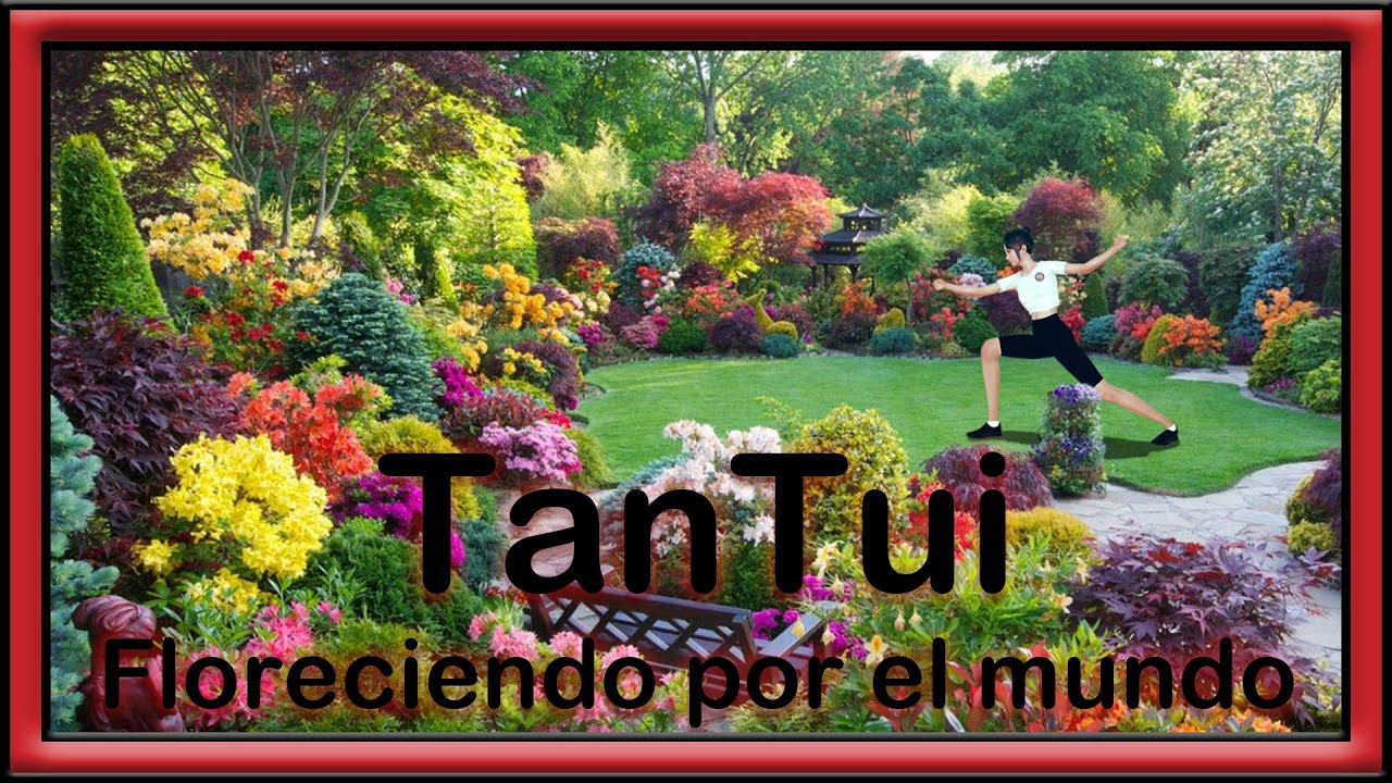 TanTui - Floreciendo por el mundo