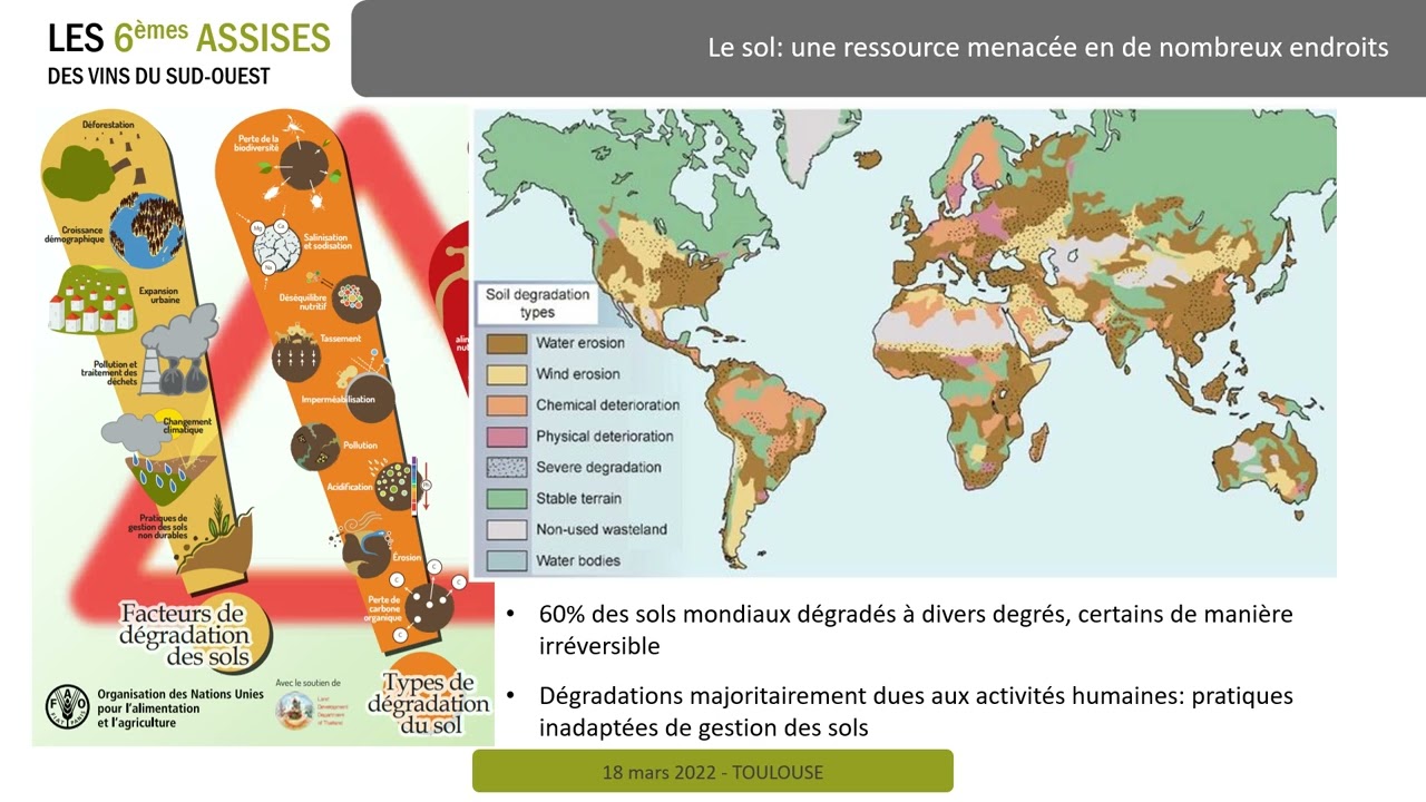 Les outils de diagnostic et les indicateurs pour évaluer la santé des sols agricoles
