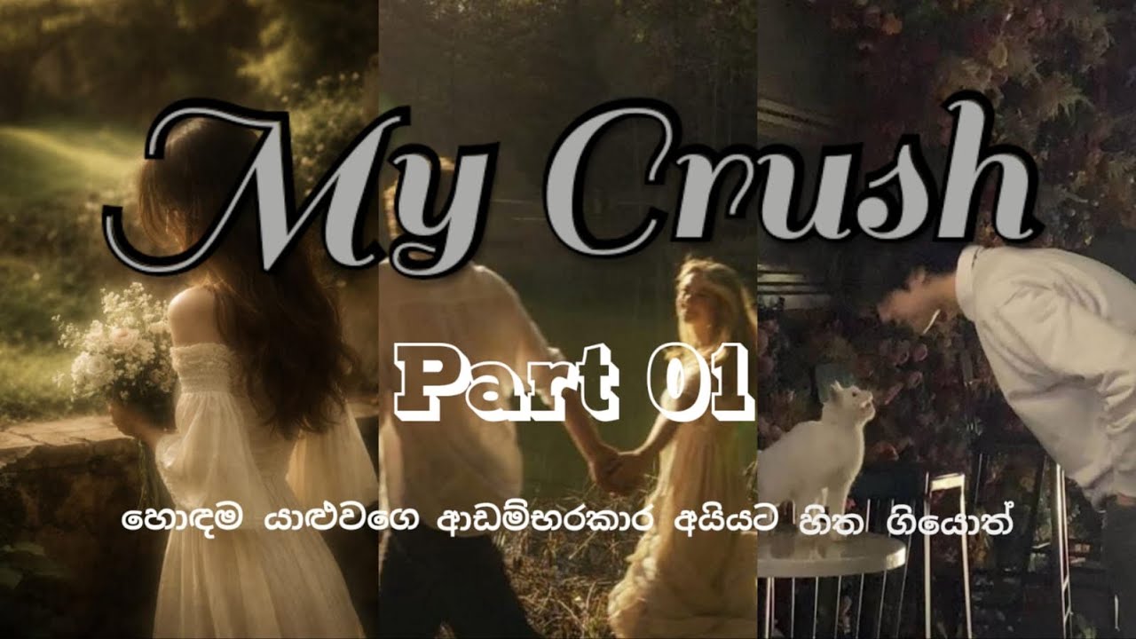 My ක්‍රෂ් | 1 කොටස | කොටස් කිහිපයක කතාවකි❤️ Subscribe කරන්නත් අමතක කරන්න එපා 🥰🥰 #liznovels