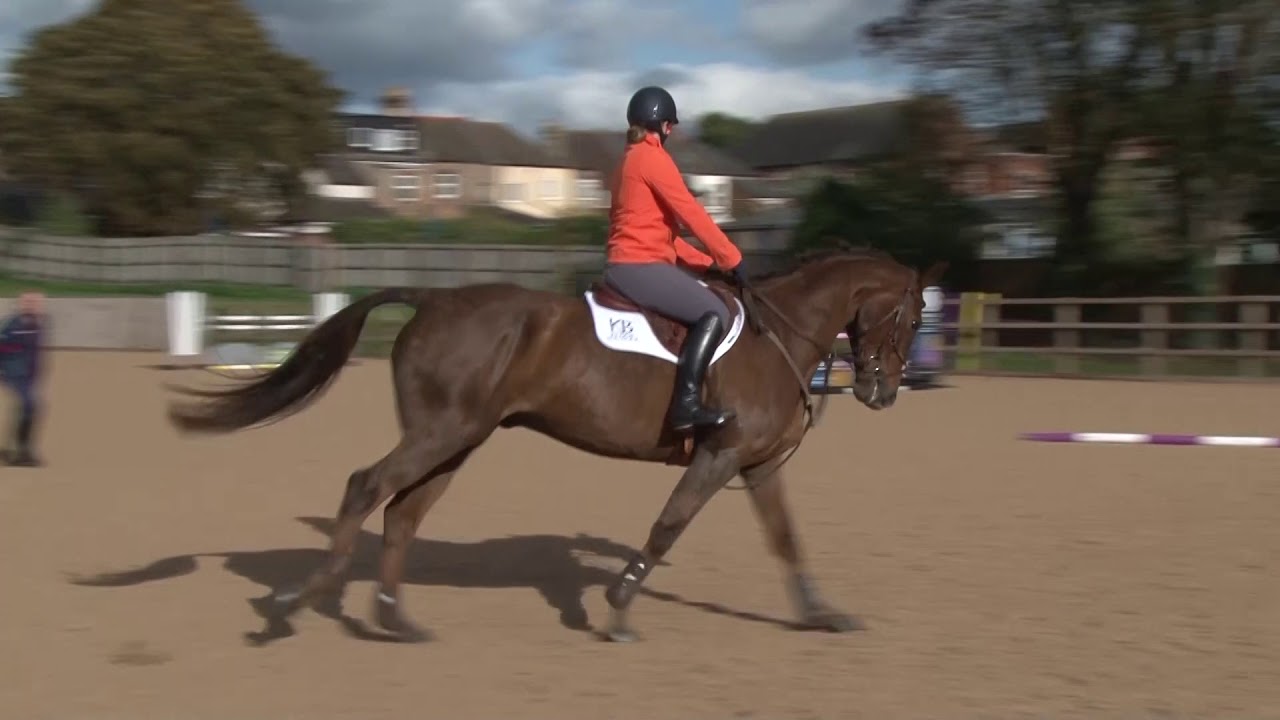 Showjumping training for eventers Part 3