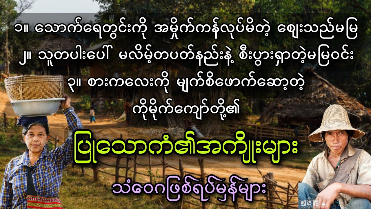 ပြုသောကံ၏အကျိုး (သံဝေဂဖြစ်ရပ်မှန်များ)
