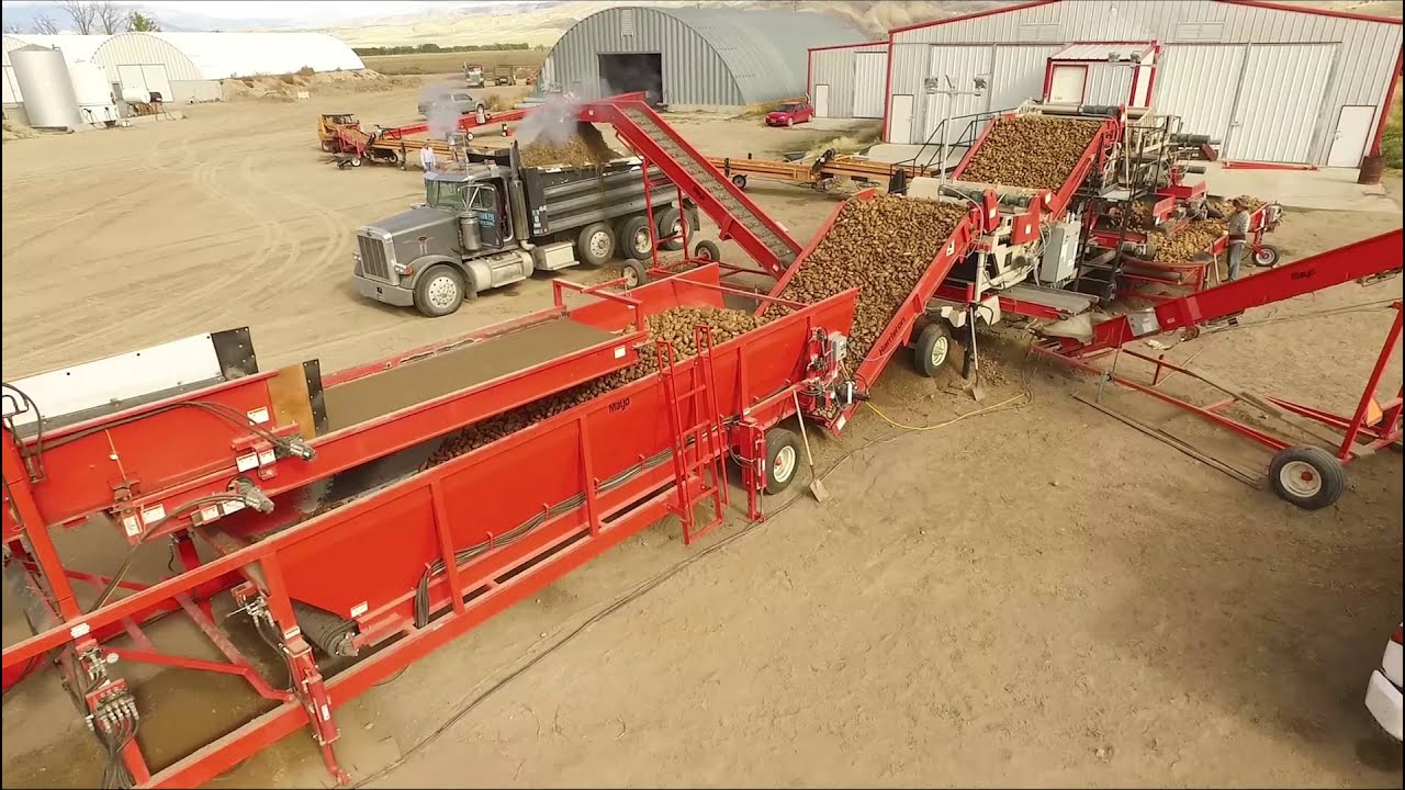 Mayo Potato & Vegetable Handling Equipment